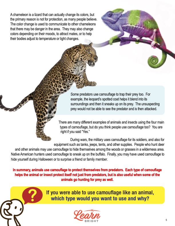 Animal Camouflage, Free PDF Download - Learn Bright