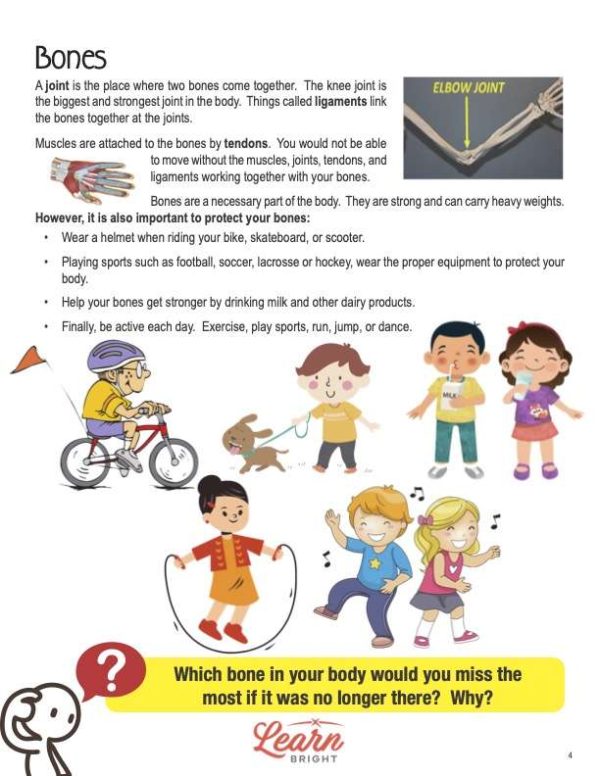 This is a content page for the Bones lesson plan. There is an X-ray of an elbow joint. There is a picture of a hand's muscles and bones. There are graphics of kids doing different activities like jump rope, biking, dancing, and drinking milk. The orange Learn Bright logo is at the bottom of the page.