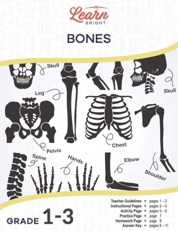 This is the title page for the Bones lesson plan. The main image shows pictures of different bones in the human body. The orange Learn Bright logo is at the top of the page.
