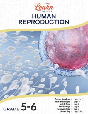 This is the title page for the Human Reproduction lesson plan. The main image is a graphic of lots of human sperm cells swimming toward a female egg cell. The orange Learn Bright logo is at the top of the page.