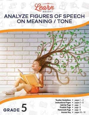 Analyze Figures of Speech on Meaning/Tone