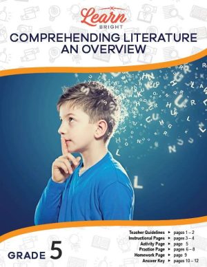 Comprehending Literature: An Overview