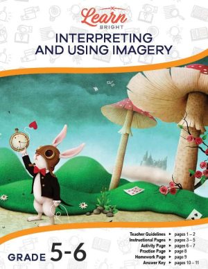 Interpreting and Using Imagery