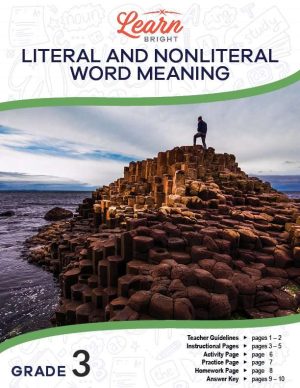 Literal and Nonliteral Word Meaning