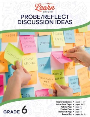 Probe/Reflect Discussion Ideas