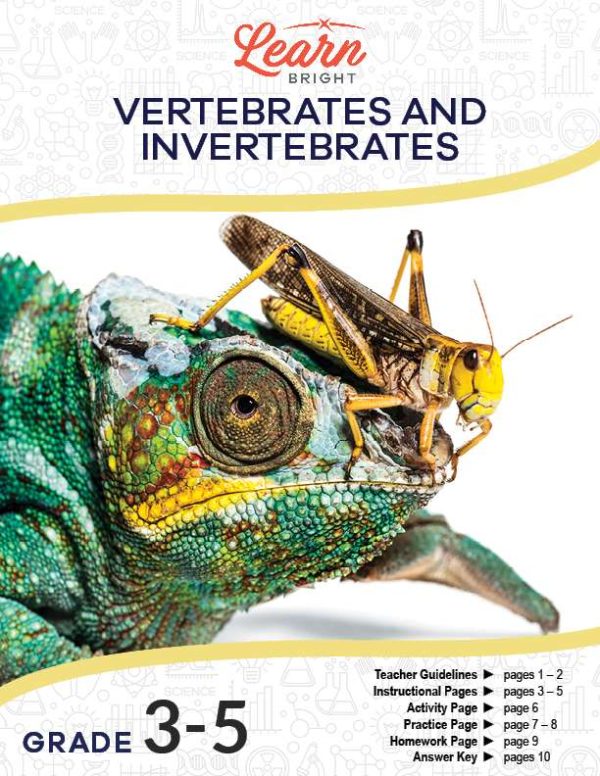 This is the title page for the Vertebrate and Invertebrates lesson plan. The main image is a picture of a grasshopper on a chameleon's face. The orange Learn Bright logo is at the top.