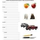 This is the practice worksheet for the Comparing and Contrasting lesson plan. There are pictures of an apple and orange, a polar bear and a black bear, a car and a truck, and a pen and a pencil. The orange Learn Bright logo is in the top-right corner of the page.