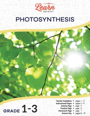 Photosynthesis