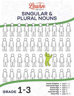 Singular and Plural Nouns