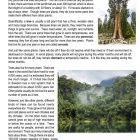 This is a content page for the All about Trees lesson plan. There are two images, one of a tall tree and one of a jungle of trees. The orange Learn Bright logo is at the bottom of the page.
