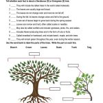 This is the practice worksheet for the All about Trees lesson plan. There is a graphic of a tree with roots and a graphic of a branch with leaves. There are six boxes for labeling. The orange Learn Bright logo is in the top-right corner of the page.
