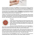 This is a content page for the Bacteria and Viruses lesson plan. There is a picture of a person washing her hands under water. There is also a graphic of a virus. The orange Learn Bright logo is at the bottom of the page.
