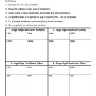 This is the activity worksheet for the Classification lesson plan. The orange Learn Bright logo is in the top-right corner of the page.