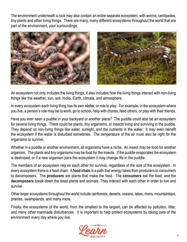This is a content page for the Ecosystems and Environments lesson plan. There is a picture of a group of worms and a picture of a centipede. The orange Learn Bright logo is at the bottom of the page.