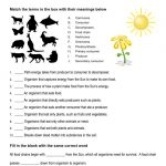 This is the practice worksheet for the Food Chain lesson plan. There are graphics showing outlines of different animals, such as a penguin, a shark, and a butterfly. There is also a picture of the sun and a picture of a flower. The orange Learn Bright logo is in the top-right corner of the page.