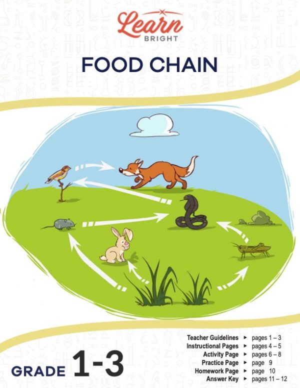 This is the title page for the Food Chain lesson plan. The main image is an illustration showing pictures of certain animals and plants with arrows that represent the path of the food chain. The orange Learn Bright logo is at the top of the page.