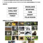 This is the activity worksheet for the Habitats lesson plan. There are 24 images of different animals. The orange Learn Bright logo is in the top-right corner of the page.