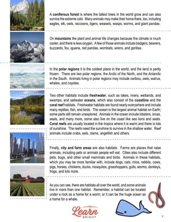 This is a content page for the Habitats lesson plan. There are six pictures of different kinds of habitats, such as mountains, polar regions, city area, and farm area. The orange Learn Bright logo is at the bottom of the page.