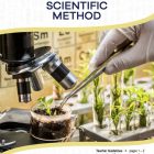 This is the title page for the Scientific Method lesson plan. The main image is of someone using tweezers to adjust a small potted plant under a microscope. The orange Learn Bright logo is at the top of the page.