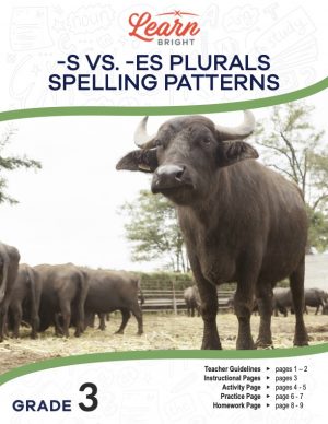 This is the title page for the -s vs. -es Plurals Spelling Patterns lesson plan. The main image is of a cow with other cows in the background. The orange Learn Bright logo is at the top of the page.