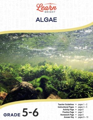 This is the title page for the Algae lesson plan. The main image shows a picture of green algae below the water's surface. The orange Learn Bright logo is at the top of the page.