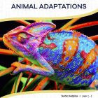 This is the title page for the Animal Adaptations lesson plan. The main image is of a chameleon. The orange Learn Bright logo is at the top of the page.