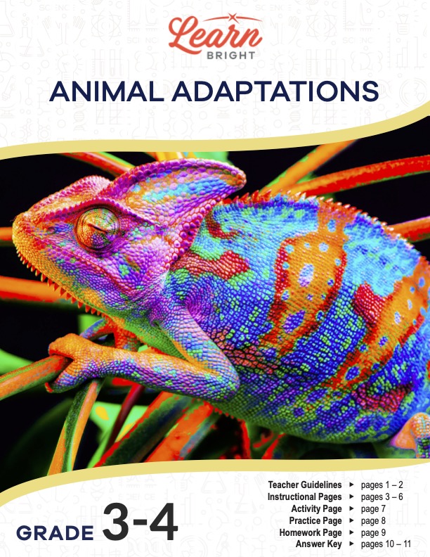 Animal Adaptations, Free PDF Download - Learn Bright