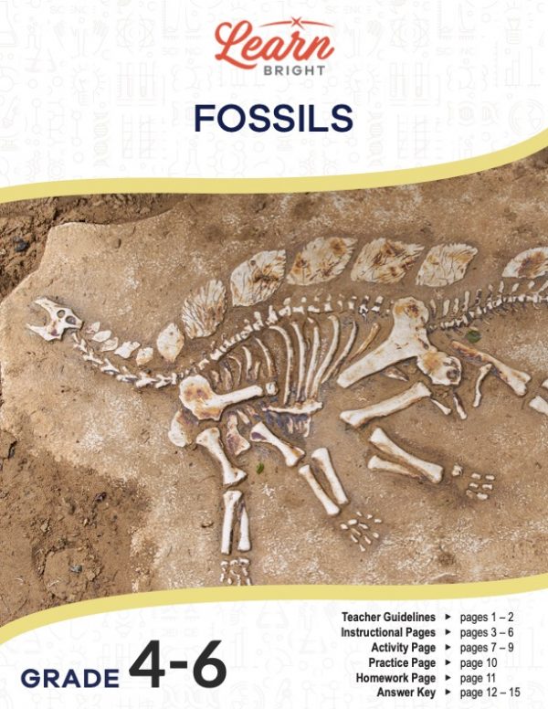 This is the title page for the Fossils lesson plan. The main image is of a fossilized dinosaur. The orange Learn Bright logo is at the top of the page.