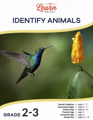 This is the title page for the Identify Animals lesson plan. The main image is of a hummingbird near a yellow flower. The orange Learn Bright logo is at the top of the page.