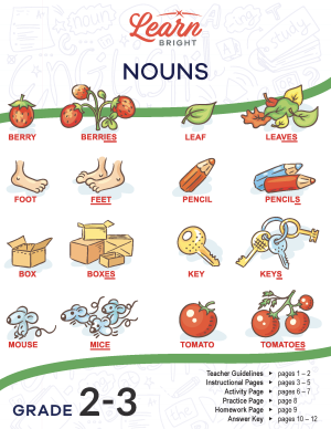 fruit, feet, keys, pencils all nouns