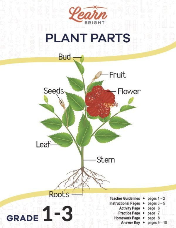 This is the title page for the Plant Parts lesson plan. The main image is a picture of a flower with different parts labeled. The orange Learn Bright logo is at the top of the page.