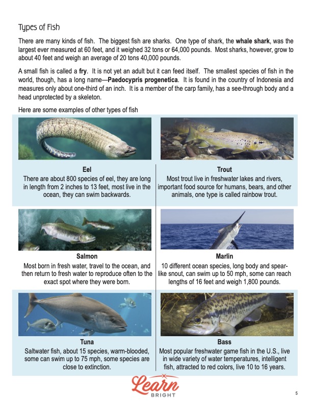 Types of Fish, Free PDF Download - Learn Bright