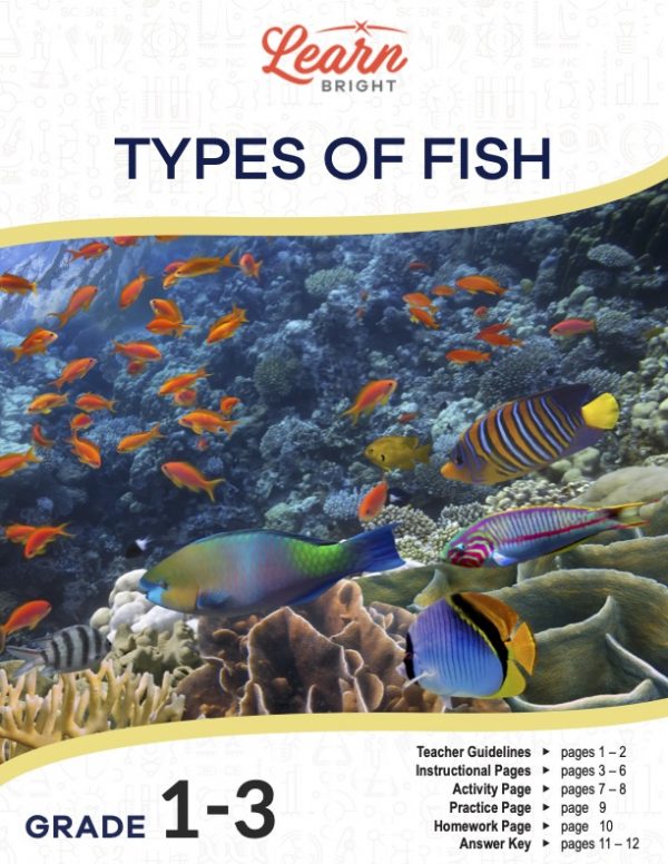 This is the title page for the Types of Fish lesson plan. The main image is a photo of a bunch of different fish swimming around a coral reef. The orange Learn Bright logo is at the top of the page.