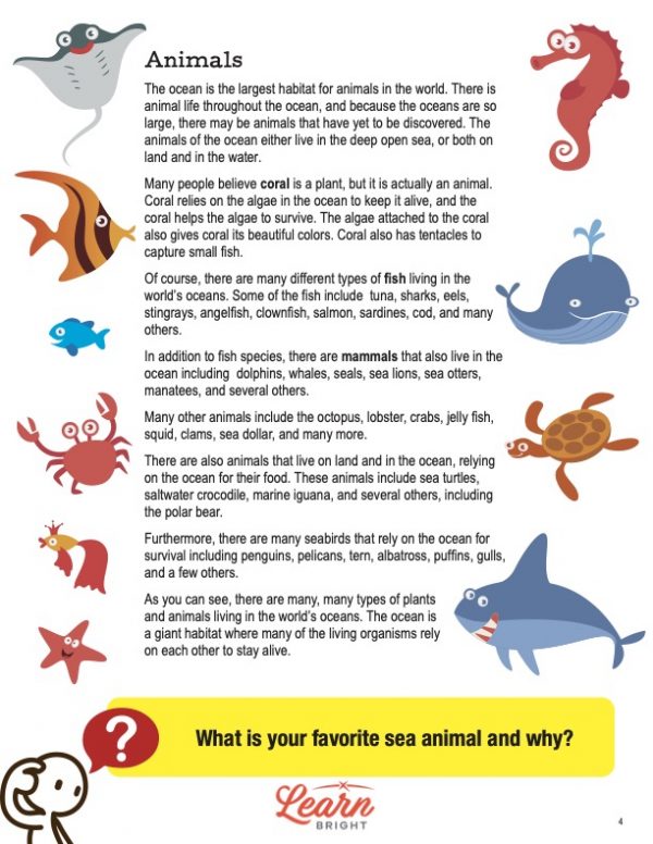 This is a content page for the What Lives in the Ocean lesson plan. There are pictures of different ocean animals on the sides of the page. The orange Learn Bright logo is at the bottom of the page.
