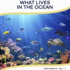 This is the title page for the What Lives in the Ocean lesson plan. The main image is a photo of the ocean under water with light rays coming through the surface. The orange Learn Bright logo is at the top of the page.