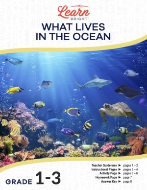 This is the title page for the What Lives in the Ocean lesson plan. The main image is a photo of the ocean under water with light rays coming through the surface. The orange Learn Bright logo is at the top of the page.