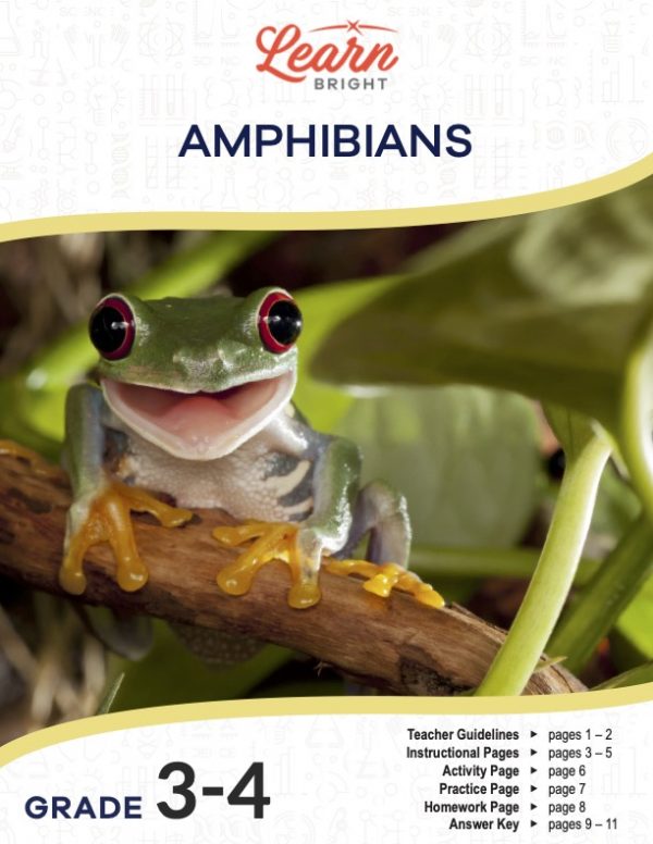 This is the title page for the Amphibians lesson plan. The main image is of a frog on a stick. The frog looks like it's looking at the camera. The orange Learn Bright logo is at the top of the page.