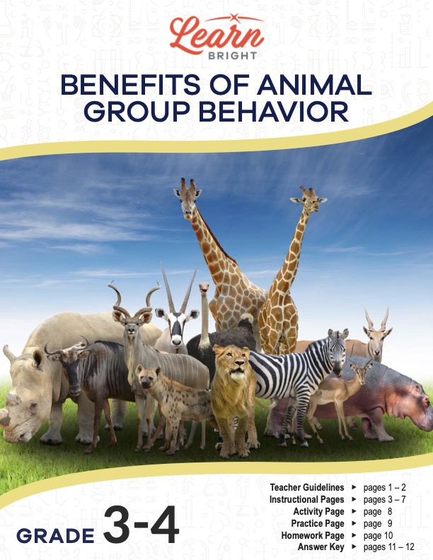 Benefits of Animal Group Behavior, Free PDF Download - Learn Bright