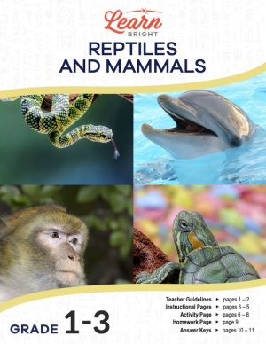 This is the title page for the Reptiles and Mammals lesson plan. The main image shows four pictures of a snake, a dolphin, and monkey, and a turtle. The orange Learn Bright logo is at the top of the page.