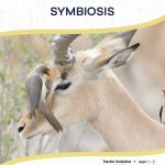 This is the title page for the Symbiosis lesson plan. The main image is of a bird resting on a gazelle's head. The orange Learn Bright logo is at the top of the page.