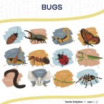 This is the title page for the Bugs lesson plan. The main image displays illustrations of twelve different bugs, including a scorpion, mantis, beetle, cockroach, and cricket. The orange Learn Bright logo is at the top of the page.