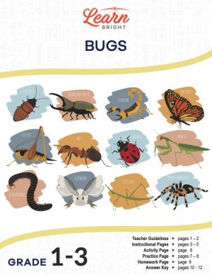 This is the title page for the Bugs lesson plan. The main image displays illustrations of twelve different bugs, including a scorpion, mantis, beetle, cockroach, and cricket. The orange Learn Bright logo is at the top of the page.