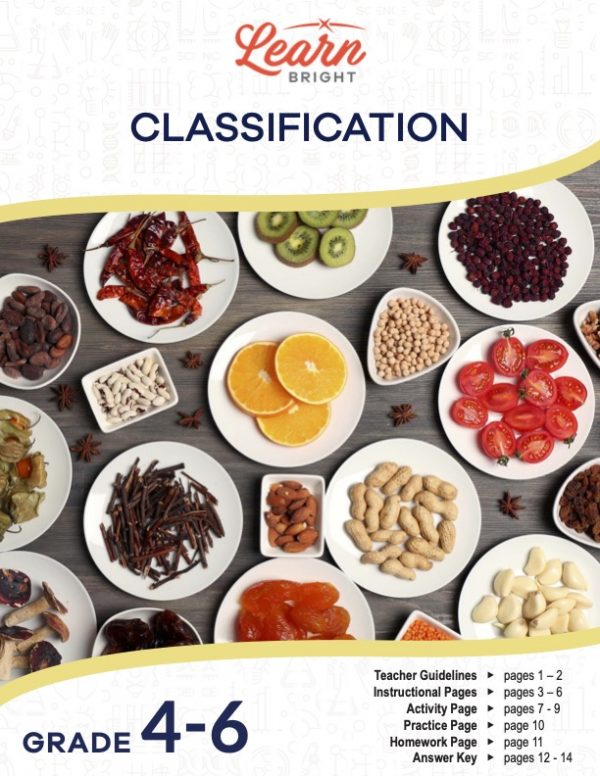 This is the title page for the Classification lesson plan. The main image is a photograph of bowls and plates of different types of food, such as kiwi slices, nuts, tomatoes, and peppers. The orange Learn Bright logo is at the top of the page.