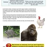 This is a content page for the Herbivores, Carnivores, Omnivores lesson plan. There are pictures of a raccoon, a gorilla, and a chicken. The orange Learn Bright logo is at the bottom of the page.