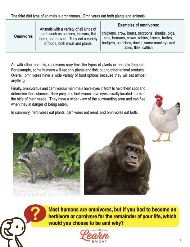Herbivores, Carnivores, Omnivores, Free PDF Download - Learn Bright