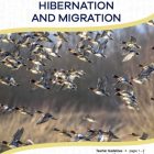 This is the title page for the Hibernation and Migration lesson plan. The main image is a photo of a flock of hundreds of flying birds. The orange Learn Bright logo is at the top of the page.