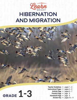 This is the title page for the Hibernation and Migration lesson plan. The main image is a photo of a flock of hundreds of flying birds. The orange Learn Bright logo is at the top of the page.