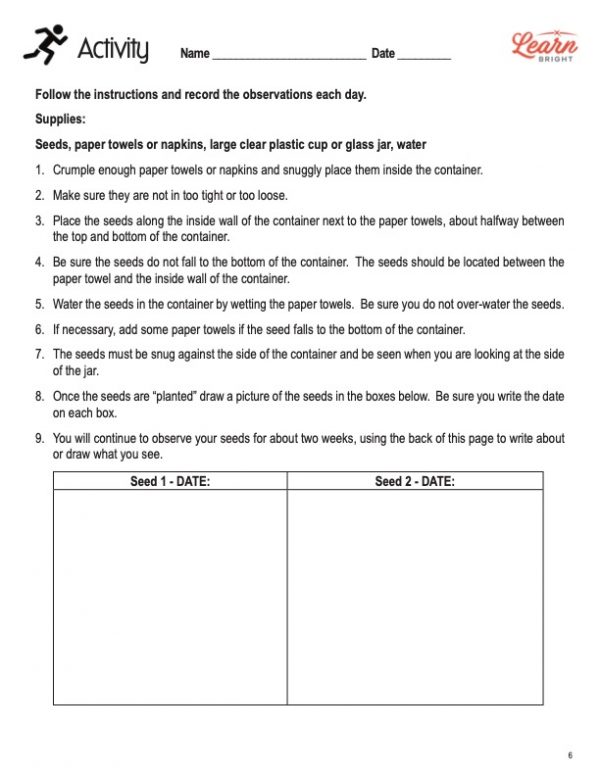 This is the activity worksheet for the How Plants Grow lesson plan. The orange Learn Bright logo is in the top-right corner of the page.