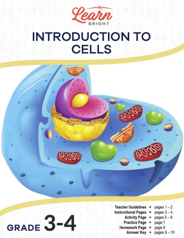 This is the title page for the Introduction to Cells lesson plan. The main image is a rendering of a cell showing the different organelles within a cell. The orange Learn Bright logo is at the top of the page.