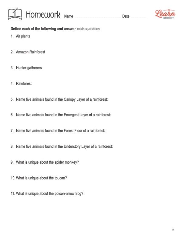 This is the homework assignment for the Rainforests lesson plan. The orange Learn Bright logo is in the top-right corner of the page.